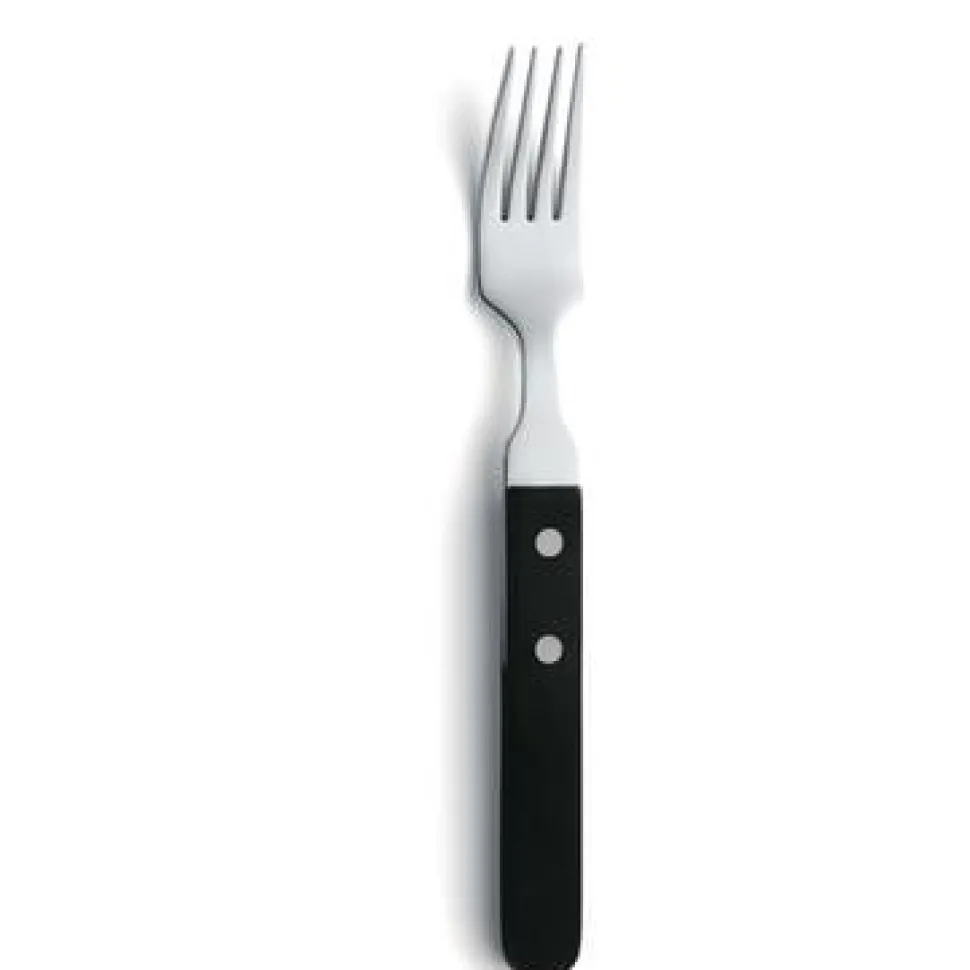 Amefa Steakvork 7000 Steak 20.1 cm Kunststof-rvs 105903