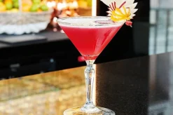 Arcoroc Monti Cocktail glas 21CL Set 6 Q1325