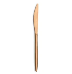 Bestekset Amefa Soprano Koper 1114 24 delig (6 personen)