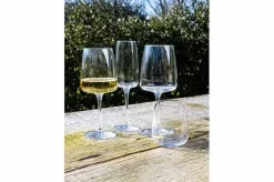 Bormioli Rocco Planeo Wijnglas 54CL 4 stuks 365748-GRB