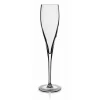 Champagneflute Luigi Bormiolli Vinoteque 17cl set van 6 511607