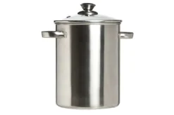 Cosy & Trendy Asperge Kookpot 16XH21,5 Inductie met deksel TI004508