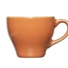 Cosy & Trendy Barista Orange Kop 15cl 8181015