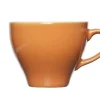 Cosy & Trendy Barista Orange Kop 20cl 8181020