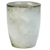 Cosy & Trendy Verdastro Beker 24cl Zonder oor 3854110