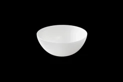 Maastricht Porselein Blanc De Blancs Schaal 15.5 cm 40 cl Wit 527388