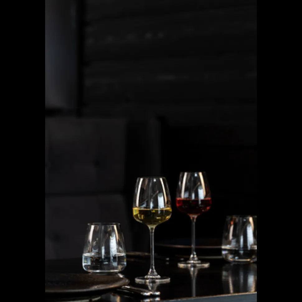 Royal Leerdam Experts Collection Wijnglas 43 cl - Transparant 6 stuk(s) 534701