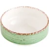 Schaal 12cm Groen Gural Ent 616980
