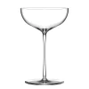 Stolzle Kyoto Champagneglas Coupe 32 cl 535759