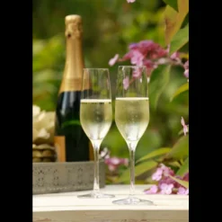 Stolzle Ultra Champagneflûte 19 cl - Transparant 6 stuk(s) 534783