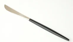 Tafelvork Pintinox Slide 18/10 7,5mm 620810
